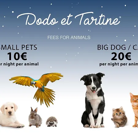 Attractive Studio Downtown - Dodo Et Tartine * Hyères